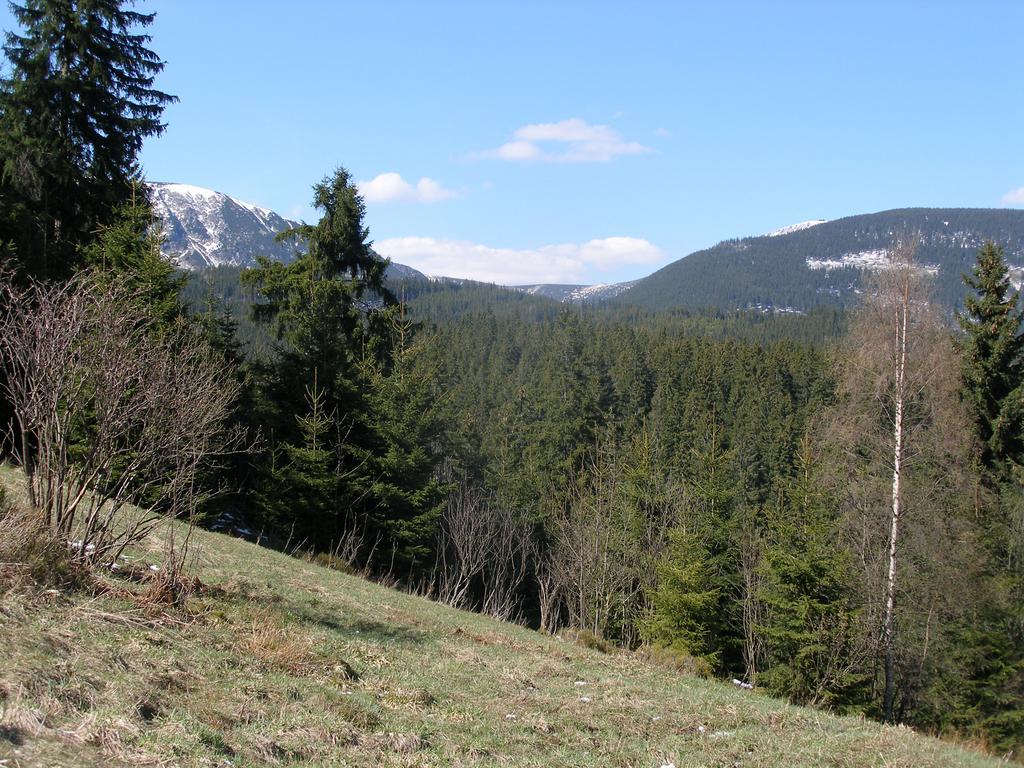 Pecka Penzion Pec pod Snezkou Exterior photo